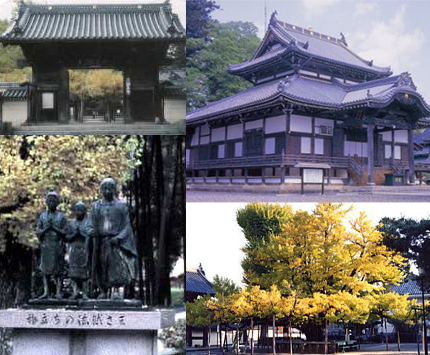 誕生寺 2枚目