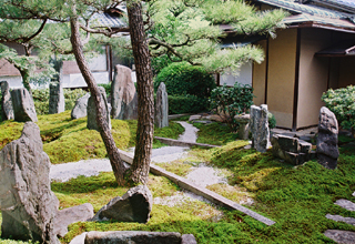 清浄華院 見どころ2枚目