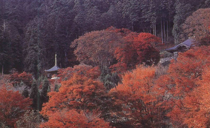 勝尾寺二階堂